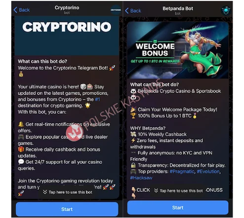 telegram kasyna na telegramie